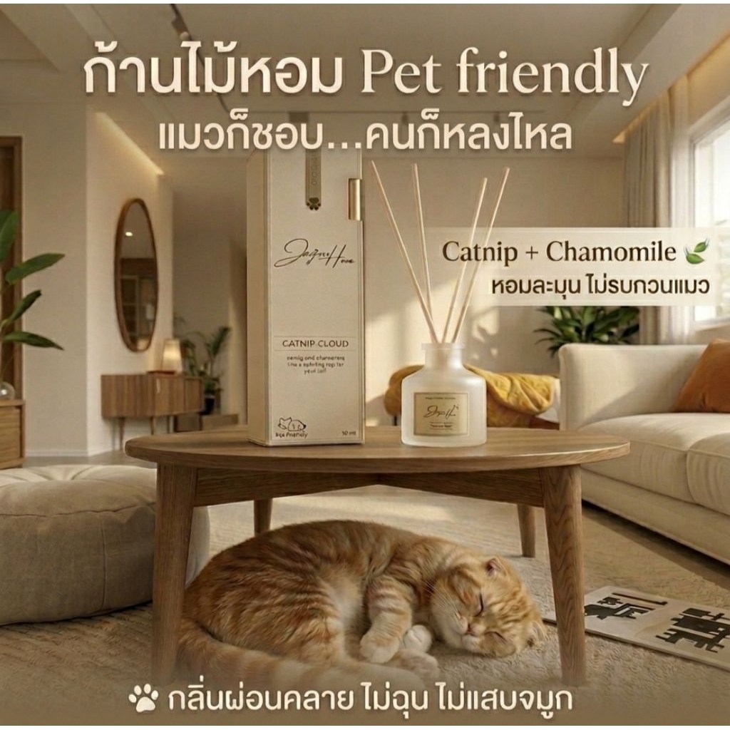 Jaojomhomขนาด 50 ml ก้านไม้หอมอ่อนโยนกับสัตว์เลี้ยงในบ้าน Pet Friendly น้ำหอมปรับอากาศปลอดภัยต่อหมาแมว มีเลือก 3 กลิ่น
