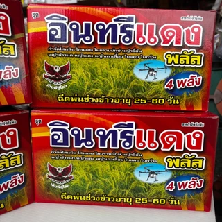 อินทรีแดงพลัส 4พลัง. ยาฆ่าหญ้าในนาข้าว 🌾 กำจัดหญ้าทุกชนิด ข้าวไม่แดง กลิ่นไม่เหม็น