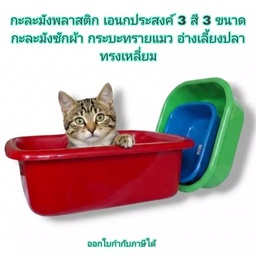 Small Evting กะละมังพลาสติก เอนกประสงค์ 3 สี 3 ขนาด กะละมังซักผ้า กระบะทรายแมว อ่างเลี้ยงปลา
