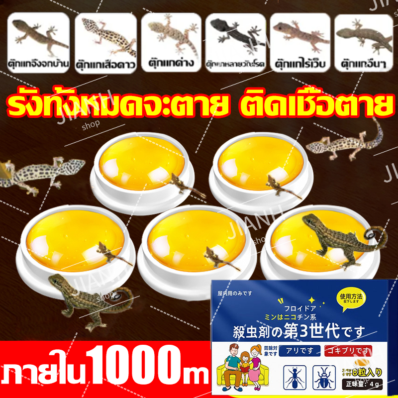 นําเข้าจากญี่ปุ่น ยาฆ่าตุ๊กแก ไม่มีตุ๊กแกทั้งบ้าน 365 วัน ยาฆ่าจิ้งจกตาย เสียชีวิตหลังจากหลบหนีจากพิษ ยาฆ่าจิ้งจก ติดเชื