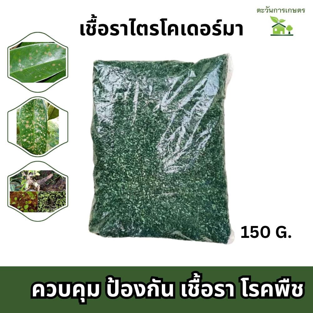 เชื้อราไตรโคเดอร์มา​  ชนิดสด​ พร้อมใช้  150​ กรัม​ tricoderma​