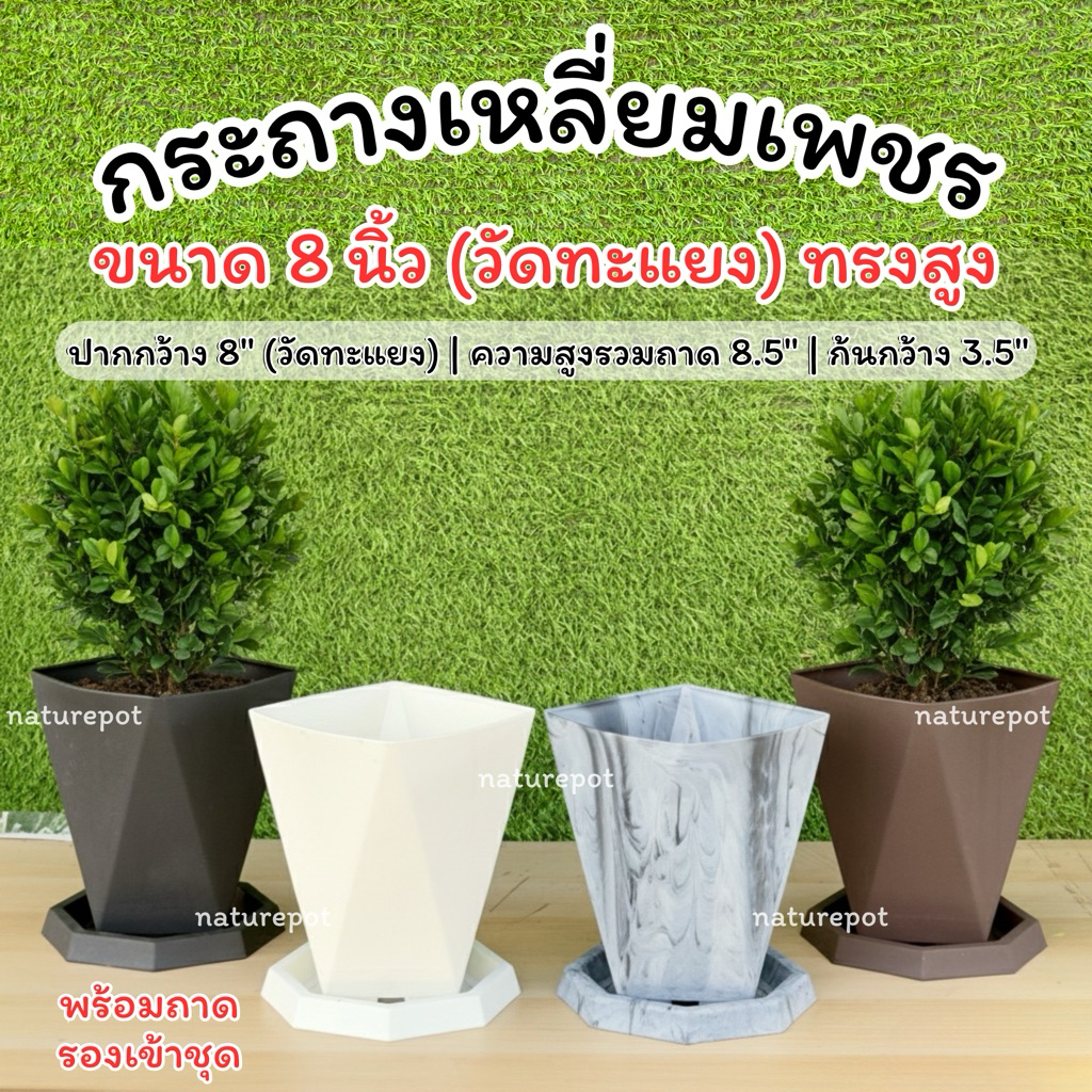 New‼️ กระถางเหลี่ยมเพชร ทรงสูง ขนาด 8 นิ้ว (วัดทะแยง) มีรูระบายน้ำในตัว