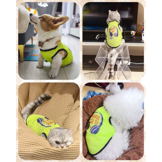 🐱🐶🐰เสื้อกล้ามตาข่ายสำหรับสัตว์เลี้ยง ฤดูร้อน ระบายอากาศดี ป้องกันขนร่วง มีไซส์ใหญ่ หมาแมว COD จัดส่งจากกรุงเทพฯ