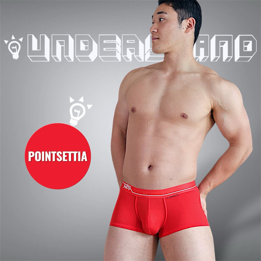 Understand Trunk ผ้า Modal (มือ1 M,L,XL,XXL) กางเกงในชาย Japanese men's underwear