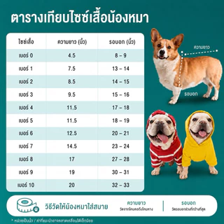🇹🇭พร้อมส่ง🇹🇭 เสื้อหมาทีมฟุตบอล เสื้อแมวทีมโปรด แบบแขนกุด เนื้อผ้าคอตตอน 100% นิ่ม ใส่สบาย
