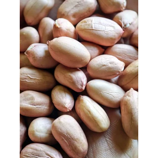 🌰 ถั่วลิสงแกะคัดคุณภาพ พร้อมส่ง ถั่วใหม่ พร้อมปลูก