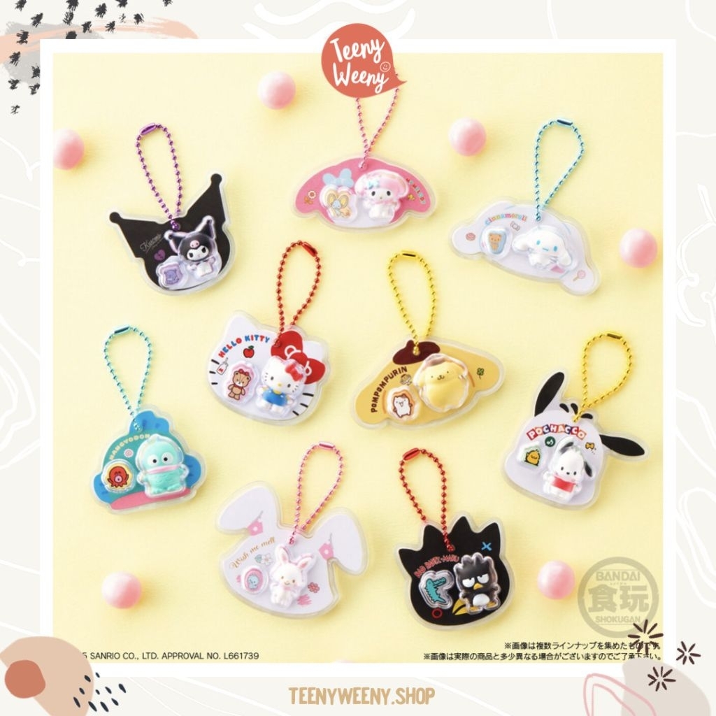 (เลือกตัวได้) พวงกุญแจซานริโอ้ Package Charm Keychain