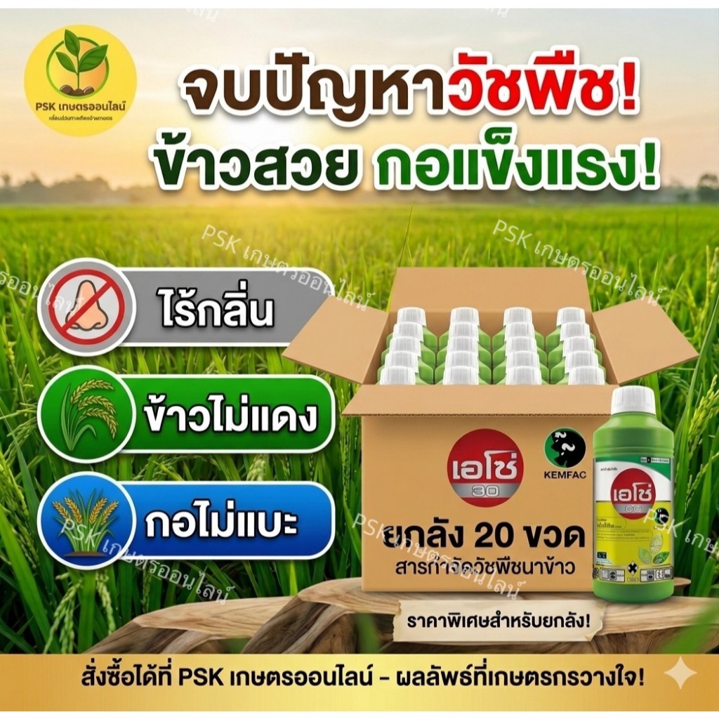 เอโซ่ 30 ขวดเขียว ขนาด1ลิตร ชื่อสามัญ : เอ็มซีพีเอ 30% SL (กลุ่ม 0) ****(ยกลัง 20ขวด)***