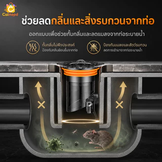 ตะแกรงกันกลิ่น ตะแกรงปิดท่อระบายน้ํา เหล็กกล้าไร้สนิม 304 กันกลิ่น ป้องกันแมลง ปริมาณการระบายน้ำขนาดใหญ่