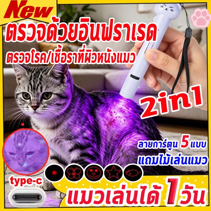 💧 ทนทาน 100 ปี💧 พอยเตอร์เลเซอร์แบบพกพาเลเซอร์แมว มอบของเล่น การตรวจหาโรคกลากในแมว ของเล่นแมว เลเซอร์พอยเตอร์ ชาร USB