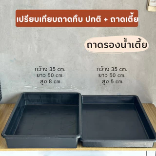 ถาดรองน้ำ ถาดไดโซะทึบเตี้ย ถาดเตี้ย ถาดไดโซะไม่มีรู ถาดเพาะต้นกล้า