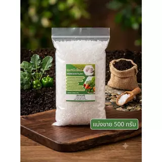 แมกนีเซี่ยม แมกนีเซี่ยมซัลเฟต Magnesium Sulphate สังเคราะห์แสง ใบเขียว ขนาด 1 กิโลกรัม ละลายน้ำ 100% แบ่งขายจากกระสอบ