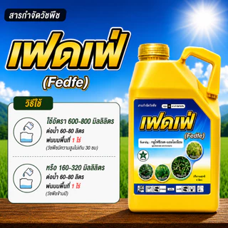 ยกลัง 6 แกลลอน เฟดเฟ่ ขนาด 4 ลิตร