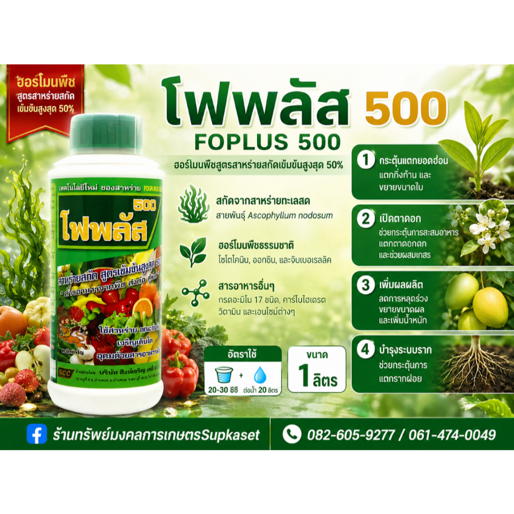 โฟพลัส500 สารอาหารพืช สาหร่ายสกัดสูตรเข้มข้นสูงสุด 50%