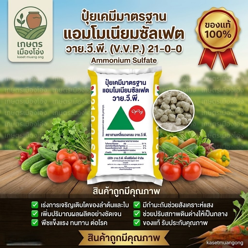 ยกกระสอบ50กก 21-0-0 ตรากระต่ายส้ม และตราYPV เร่งการเจริญเติบโตทางด้านลำต้นและใบ เพิ่มประสิทธิภาพการสังเคราะห์แสง