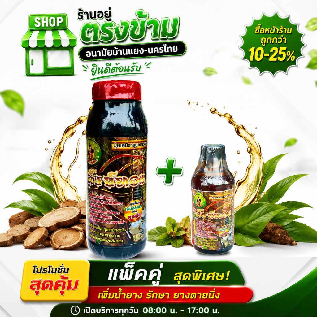โปรแพ็คคู่ สุดคุ้ม ยาทาบำรุงหน้ายาง (สังข์ทอง 1000CC+ฉีดพ่น 120CC) รักษาหน้ายางพารา ขยายท่อน้ำยาง น้ำยางไหลได้นานและมากก