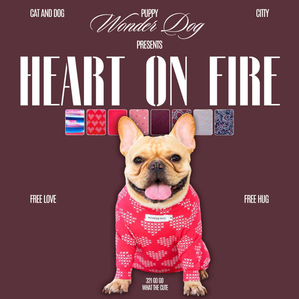ชุดเก็บขน wonder dog เสื้อสุนัข เสื้อแมว ชุดกันขนร่วงสุนัข ชุดสัตว์เลี้ยง โทนสีแดง