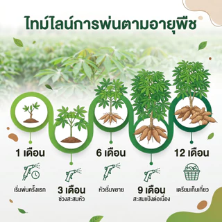 ฮอร์โมนระเบิดหัวมัน ขนาด 500 ml ใช้ได้ 30 ไร่ ใช้กับพืชทุกชนิด ช่วยการสะสมอาหารของพืช
