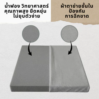 Ecolatex เบาะรองนั่ง ฟองน้ำนุ่ม รุ่น Velvet Comfort รองรับน้ำหนัก ลดอาการปวด ปลอกผ้ากำมะหยี่มีซิป