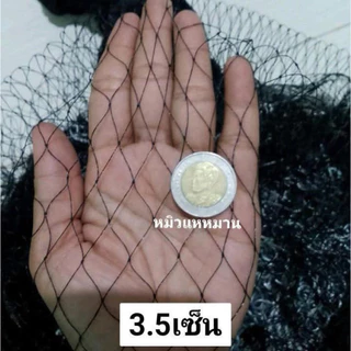 แหเอ็นเกลียวดำ(ต่อวน)ตา2เซ็น-8เซ็นยาว7,8,9,10,11,12ศอก เนื้อนิ่มมือจอมขากุ้ง(1ศอกแห=45ซม.)
