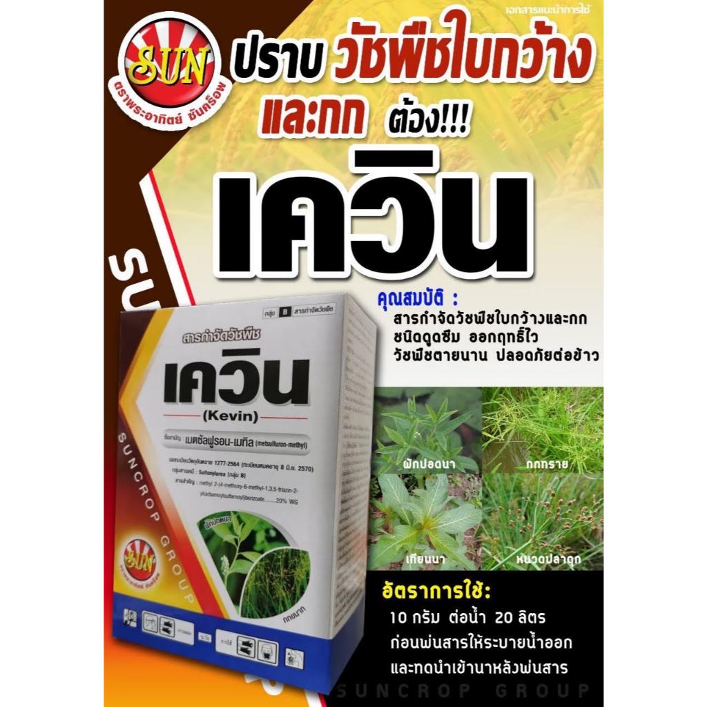 เควิน (เมตซัลฟูรอน-เมทิล) 50 กรัม  กำจัดหญ้าใบกว้าง ตระกูลกก หนวดปลาดุก ปักปอด เทียนนา ในนาข้าว