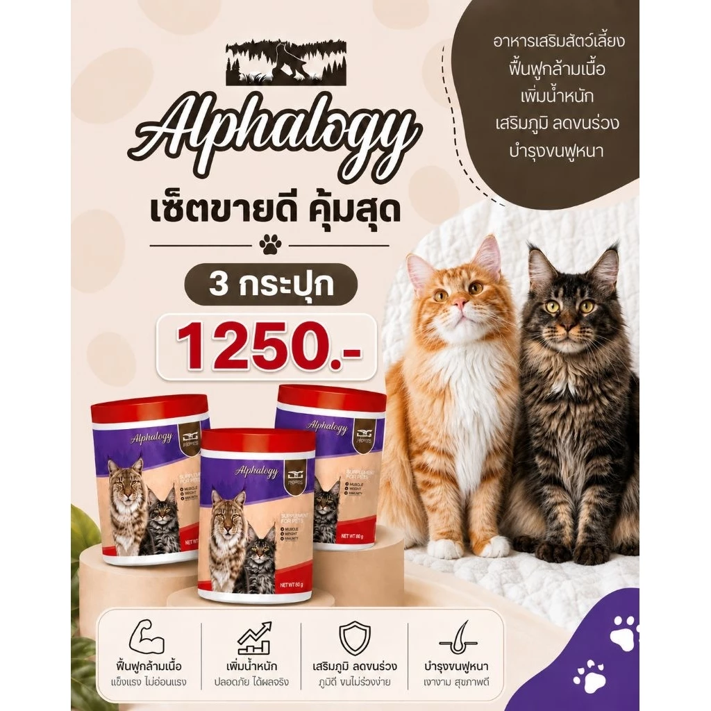 🔥 เซ็ต 3 กระปุกคุ้มสุด ลูกค้าซื้อซ้ำเยอะช่วยบำรุงขน เพิ่มน้ำหนัก กินง่าย น้องแมวชอบค่ะ 🐱💕