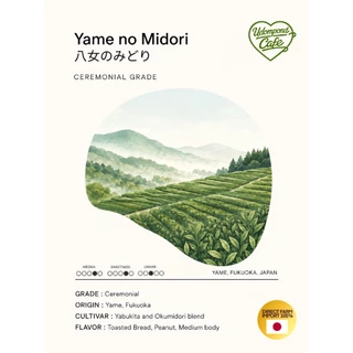 มัทฉะ Yame No Midori เกรดพิธีการจากเมืองยาเมะ ปี2026 โทนถั่ว