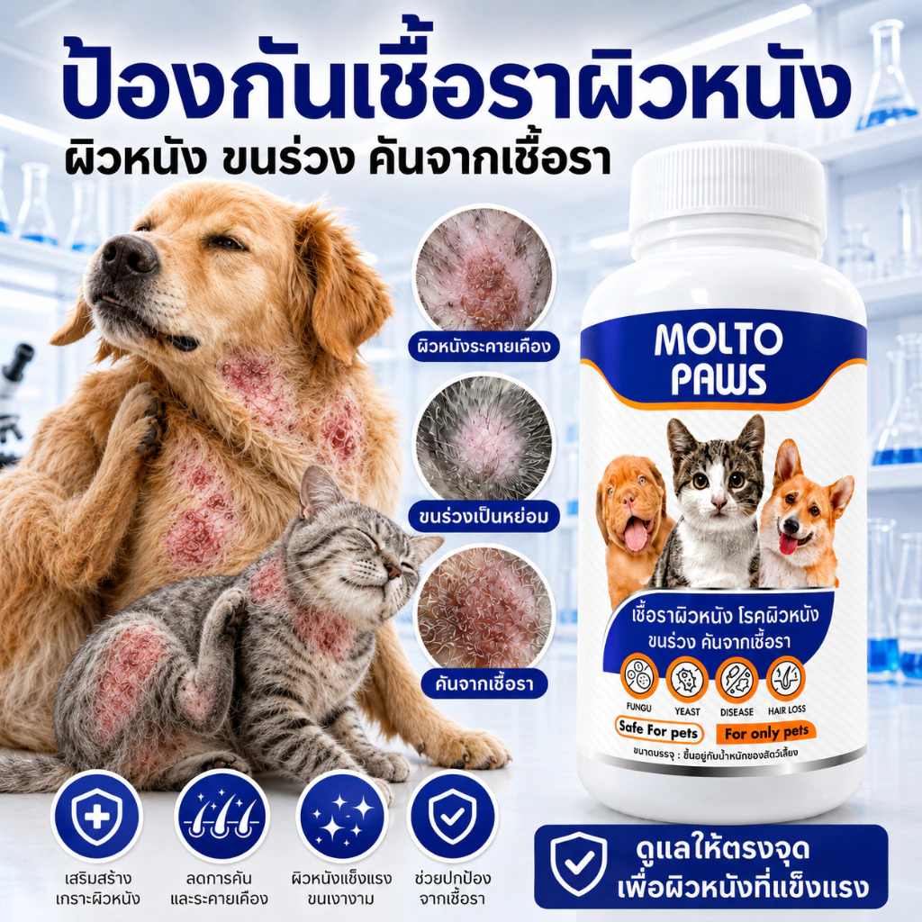 MOLTO PAWS ดูแลเชื้อราผิวหนัง สุนัข แมว ขนร่วงเป็นวง คันจากเชื้อรา ยีสต์ โรคผิวหนัง ฟื้นฟูผิวและขน ปลอดภัย