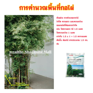 จัดส่งจากท้องถิ่น รากเน่ารากไม่ขึ้นอีก ยาฆ่าหญ้า 500g ไม่ทำลายดิน ผงกำจัดต้นไม้ รวดเร็ว ยาฆ่าไผ่