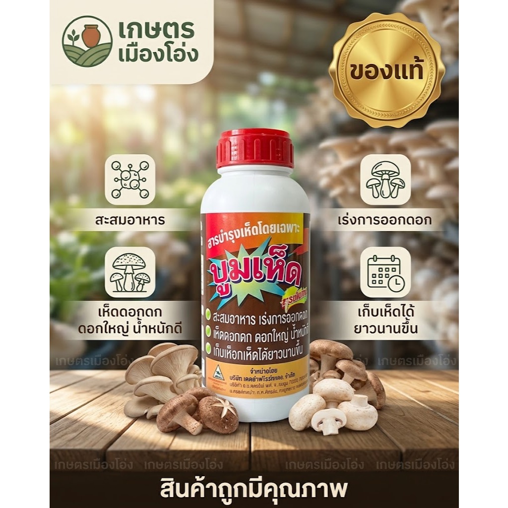 บูมเห็ด 500มล (ตราพีแอนด์อาร์) สารบำรุงเห็ดโดยเฉพาะ สูตรเข้มข้น สะสมอาหาร เร่งการออกดอก ดอกดก ดอกใหญ่ น้ำหนักดี