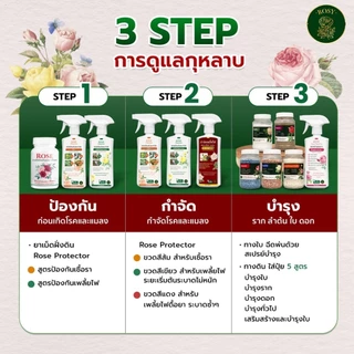 Rosy เซตประหยัด 4 สูตร ดูแลกุหลาบครบวงจร ไซส์แกลลอนจุใจ ใช้ได้นาน คุ้มกว่ากำจัดเพลี้ย เชื้อรา พร้อมเร่งดอก