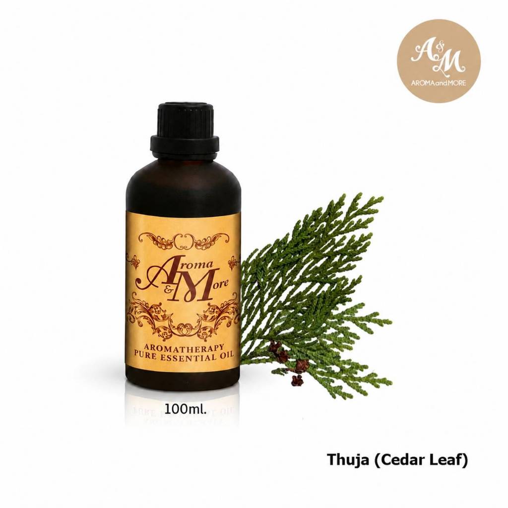 Aroma&More Thuja (Cedar Leaf, White Cedar)100% Pure Essential Oil  Austria / น้ำมันหอมระเหยทูจา ออสเ