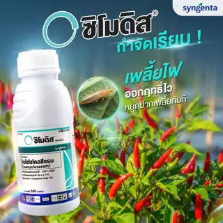 ซิโมดิส ซินเจนทา Syngenta ไอโซไซโคลซีแรม 10% DC 250 ซีซี ของแท้ 100% สารกำจัดแมลง หนอน เพลี้ยไฟ หยุดแมลงดื้อยา คุมนาน