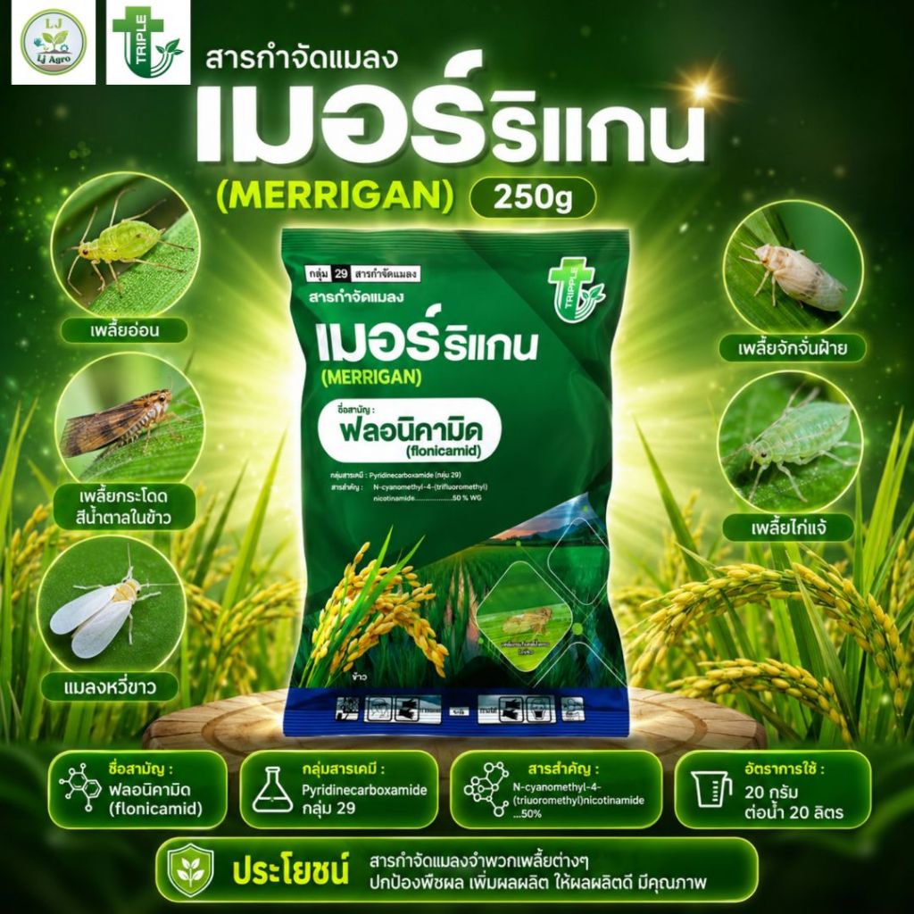 เมอร์ริแกน ขนาด 250 กรัม #ฟลอนิคามิด (ทริปเปลิ้ลที) #แอลเจอะโกร