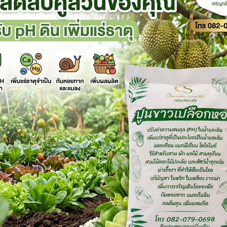 ปูนขาวเปลือกหอย ปูนขาวเปลือกหอยเจริญทรัพย์ แก้ปัญหา ใบเหลือง ใบหงิก รากเน่า โคนเน่า ปรับสภาพดิน แก้ดินเป็นกรด ดินเปรี้ยว
