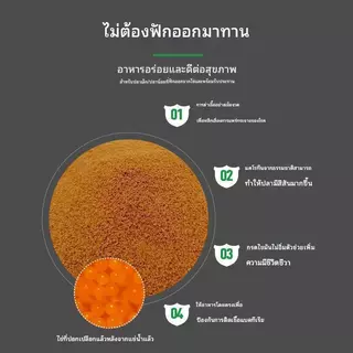 ไข่อาทีเมีย อาหารปลา อาหารปลาทอง ปลากัด คุณภาพพรีเมียม ไข่อาร์ทีเมียลอกเปลือก อาหารปลาตู้โปรตีนสูง เจริญเติบโตเร็ว สีสวย