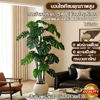 ต้นไม้ปลอม ต้นไม้มงคล แถมฟรี กระถางดอกไม้และหินประดับ ต้นไม้ประดิษฐ์คุณภาพสูงสไตล์นอร์ดิก สำหรับตกแต่งบ้านและสวน