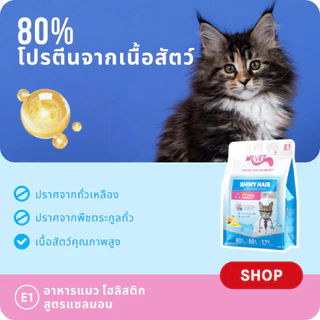 [ของขวัญพิเศษ]MR.Vet E1 อาหารแมวพรีเมียม – Triple Omega Complex™ เพื่อขนเงางาม สุขภาพผิวดี ด้วยปลาแซลมอนและไก่ โปรต