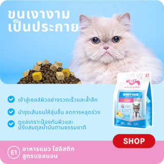 [ของขวัญพิเศษ]MR.Vet E1 อาหารแมวพรีเมียม – Triple Omega Complex™ เพื่อขนเงางาม สุขภาพผิวดี ด้วยปลาแซลมอนและไก่ โปรต
