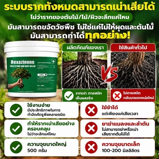 💥100% รากไม้เน่า💥ยาฆ่าต้นไม้ใหญ ยาฆ่าหญ้า 500g รากเน่ารากไม่ขึ้นอีก ยาฆ่าตอไม้ สารกําจัดกอไผ่ แบบผง สานกำจัดกอไผ่ วัชพืช