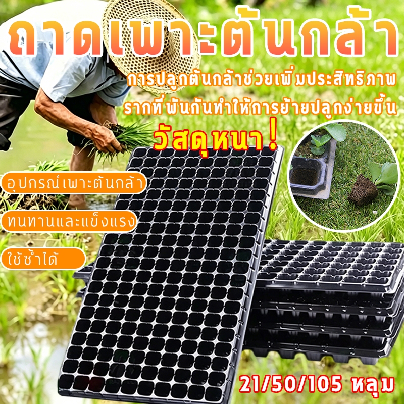 ถาดปลูกต้นไม้แบบหลุมมาตรฐาน วัสดุ PVC ปลอดภัยไร้กลิ่น มี 21/50/105 หลุม ช่วยระบายน้ำและอากาศ ใช้ซ้ำได้นานหลายฤดู