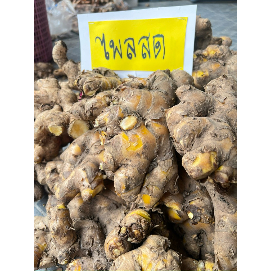 ไพลสด 1000กรัม  ขมิ้นชัน ขมิ้นอ้อย ว่านชักมดลูก กระชายดำม (ขนาด500g./1000g.)