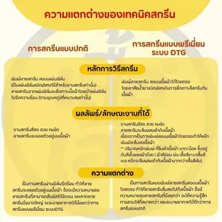 (เสื้อเฮียส่งออกภายใน1-2วัน) เสื้อลาย หนูควาย Cotton 100% ของแท้