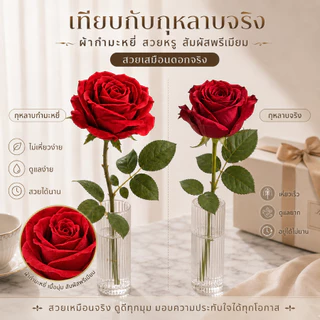 🌹 ดอกกุหลาบปลอม ดอกไม้เทียมพรีเมียม ผ้ากำมะหยี่ซาติน ดอกไม้ปลอมเหมือนจริง ไม่ร่วง สำหรับตกแต่งบ้าน งานแต่ง ปาร์ตี้ พร้อม