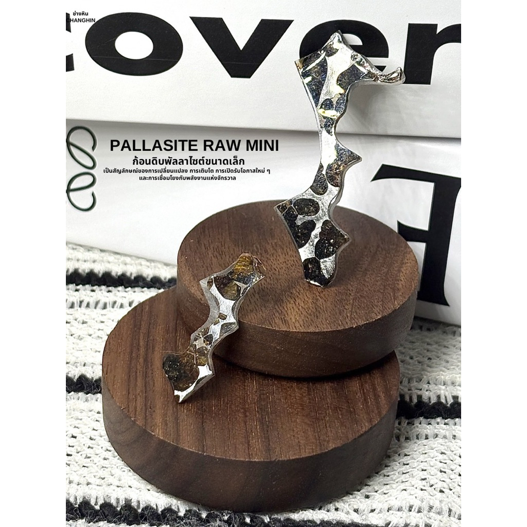 PALLASITE RAW MINI ก้อนดิบพัลลาไซต์ สัญลักษณ์ของการเปลี่ยนแปลง การเติบโต การเปิดรับโอกาส เชื่อมโยงกับพลังงานแห่งจักรวาล