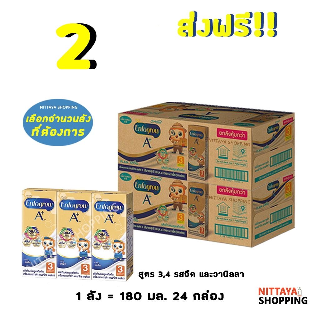2 ลัง ส่งฟรี! Enfagrow A+ เอนฟาโกร เอพลัส นกฮูก สูตร 3 และ 4 รสจืด 180 มล 24 กล่อง นมจืด นมกล่อง
