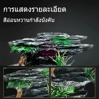 พิพิธภัณฑ์สัตว์น้ำเรซิ่นตกแต่งตู้ปลาอุปกรณ์เสริมสัตว์น้ำกุ้งปลาไม้ปลอมกะโหลกศีรษะหินปลอม