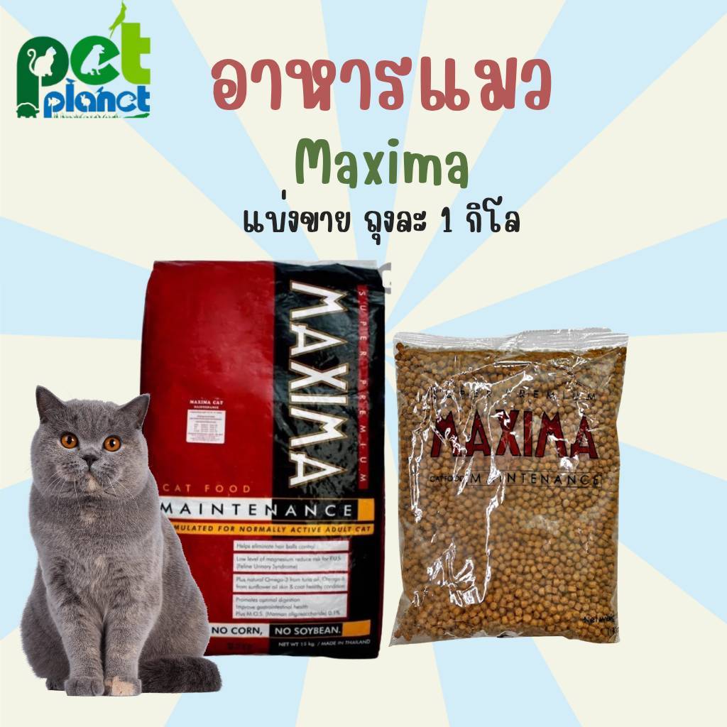 (1กิโลกรัม)อาหารแมว ขนมแมว ข้าวแมว (1 กิโลกรัม)อาหารแมว Maxima แม็กซิม่า ขนาด 1 กิโลกรัม (ถุงใสแบ่งจากโรงงาน)