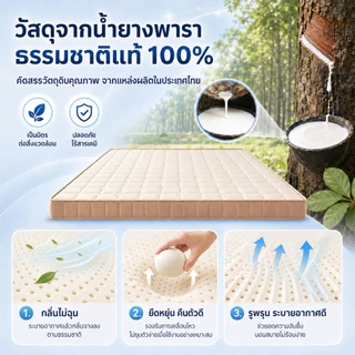 ที่นอนยางพาราแท้ 100% หนา 3.5 นิ้ว แก้ปวดหลัง พับเก็บได้ นำเข้าจากประเทศเบลเยี่ยม ส่งฟรี