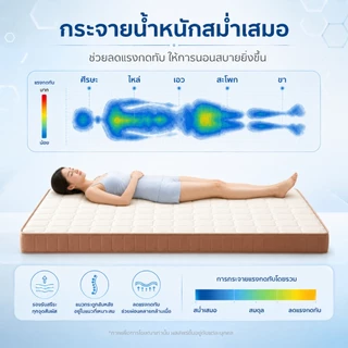 ที่นอนยางพาราแท้ 100% หนา 3.5 นิ้ว แก้ปวดหลัง พับเก็บได้ นำเข้าจากประเทศเบลเยี่ยม ส่งฟรี